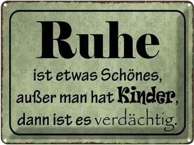 Produktbild von vianmo Blechschild 30x40 cm Ruhe ist etwas schönes außer Spruch Zitat