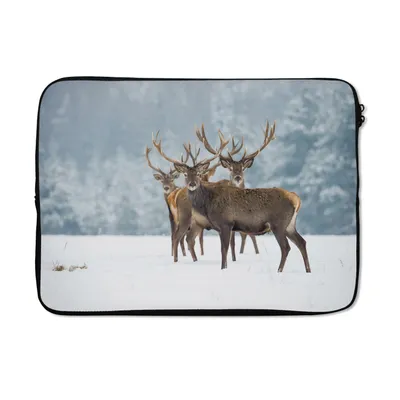 Produktbild von MuchoWow® Laptop Hülle 14 ZollHirsche - Tiere - Schnee - Winter - Landschaft - Natur Laptoptasche - Laptoptasche - Stoßsicher - Schutzhaube