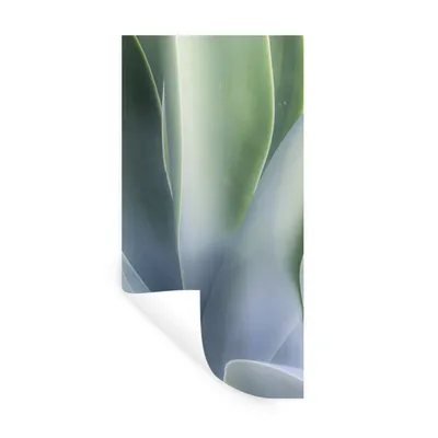 Produktbild von MuchoWow® Wandtattoo Wandsticker Wandaufkleber Agavenblätter 40x80 cm Selbstklebend und Repositionierbar - Repositionierbar - Wasser abweisend