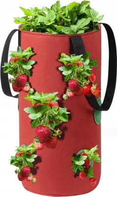 Image de SAC DE PETITS LÉGUMES Tomates LÉGUMES STEMBLOC 35cm