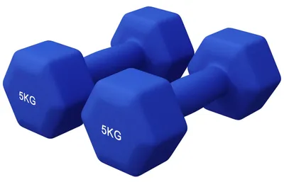 Productafbeelding van Neopreen dumbbells - Zeshoekig - Antislip - Gietijzer - Ergonomische handgrepen - Gewichtsset