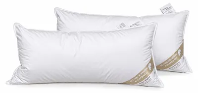 Produktbild von 2 Stück Betten Hofmann Pusta Kopfkissen Federkissen Nackenkissen  40x80 30% Daunen 600 g prall dick
