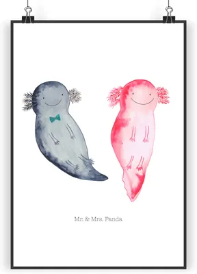 Produktbild von Mr. & Mrs. Panda Poster Axolotl Freundin DIN A3 - Weiß - Geschenk, wanddeko, kunstdruck, drucke, Wandbild, Liebe, Ehemann, Valentinstag, Bild