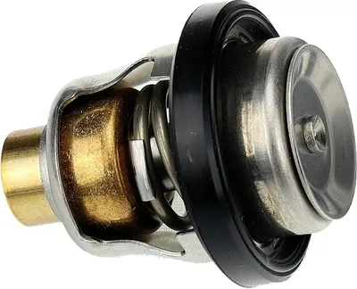 Produktbild von Suzuki Marine Thermostat 60° 17670-94403-000