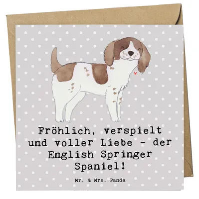 Produktbild von Mr. & Mrs. Panda Grußkarte English Springer Spaniel Freude - Grau Pastell - Geschenk, Vierbeiner, Hundeliebhaber, doppelkarte, Liebevoll, Hunderassen Vielfalt, Klappkarte