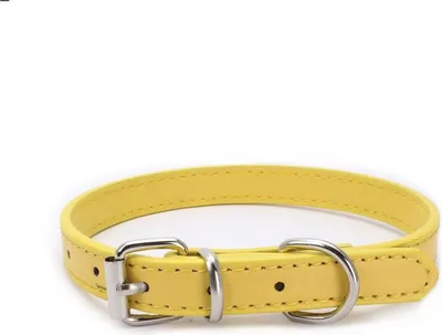 Image de Collier de chien NERO - jaune XXS