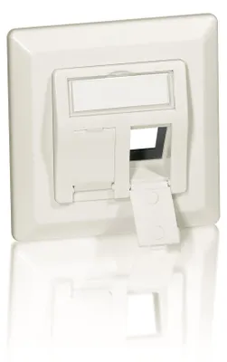 Immagine prodotto di Equip Unterputzdose +Frontplatte 2 Keystone   45°   RAL 1013 Polybeutel