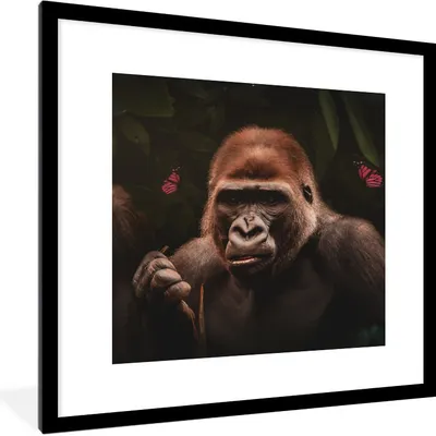 Produktbild von MuchoWow® MuchoWow® Gerahmtes Poster Tiere - Affe - Gorilla 40x40 cm - Poster mit zchwarzem Bilderrahmen - Poster - Plakat im Rahmen
