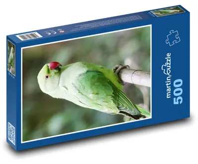 Produktbild von Puzzle 500 Grüner Wellensittich auf einem Ast - martinpuzzle