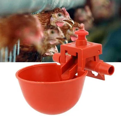 Imagen del producto de Recipiente para agua para aves de corral, juego de 10 unidades, bebederos