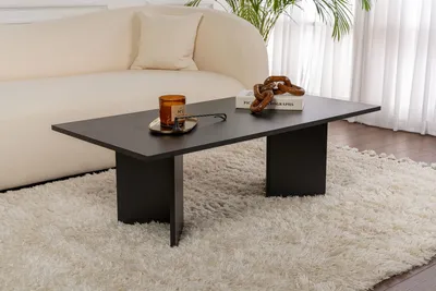 Produktbild von Skye Decor, Sabin - Wood Black, Couchtisch, Holz Schwarz, 100 % MELAMINBESCHICHTETE SPANPLATTEN, 119 x 60 x 40 cm