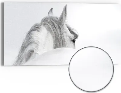 Produktbild von DEQORI Hybrid Leinwand Bild 60x30 cm 'Andalusisches Pferd' Wandbild Glas flach modern