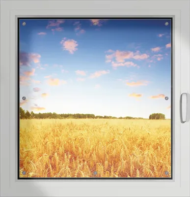 Produktbild von Wallario Lichtschutzbild, Dekorativer Sichtschutz Sonnenschutz 96 x 100 cm mit Motiv: Weizenfeld unter blauem Himmel - Verdunklung ohne Bohren