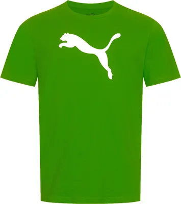 Obrázek produktu pro Pánské tričko Puma Teamrise - Green