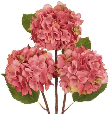 Immagine prodotto di Uniqoos® Set di 3 ortensie artificiali rosa, decorazioni facili da curare – altezza circa 54 cm, diametro dei fiori 15 cm, aspetto realistico, ideali per vasi e ambienti domestici