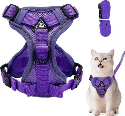 Produktbild von Famanu Haustiergeschirr mit Leine - Verstellbar und Sicher für Katze und Hund