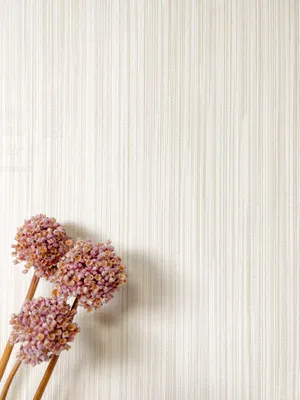 Produktbild von NEWROOM Tapete Nabila Creme Vliestapete - Modern Unifarbe Struktur Germany