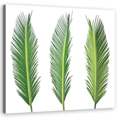 Produktbild von Leinwandbild blumen - grün 50x50 cm Feeby grün wandbild bereit zum aufhängen