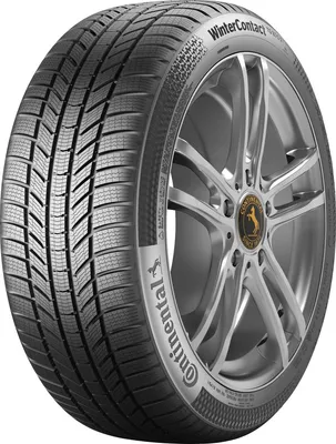 Obrázek produktu pro Continental Wi car-tyres WinterContact™ TS 870 P ( 19 )