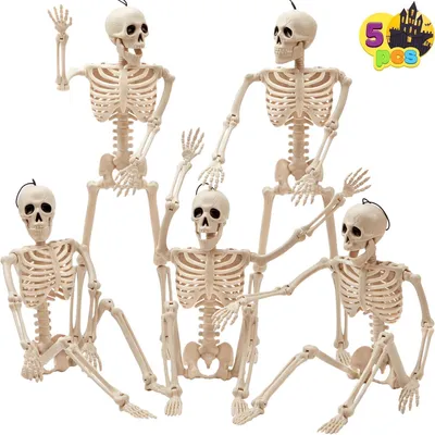 Immagine prodotto di Decorazioni per Halloween a forma di scheletro da appendere, corpo intero, 10 pezzi, 40,6 cm, plastica, articolazioni mobili