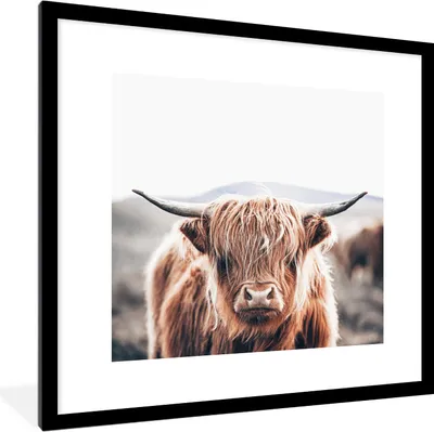 Produktbild von MuchoWow® Gerahmtes Poster Schottischer Highlander - Berg - Hoorn 40x40 cm - Poster mit Schwarzem Bilderrahmen Wandposter Rahmen Foto Bilder - Poster - Plakat im Rahmen