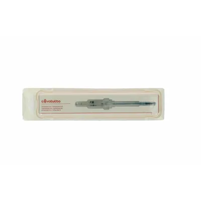 Image de Thermomètre d'incubateur
