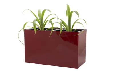 Obrázok produktu pre G21 Samozavlažovací kvetináč Combi červený 56 x 28 cm G21-6392481