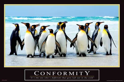 Immagine prodotto di Conformity - Stampa artistica motivazionale - Poster - Dimensioni 91,5x61 cm