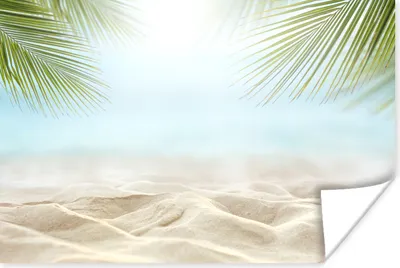 Produktbild von MuchoWow® Poster Strand - Palmen - Meer 180x120 cm - Fotoplakat