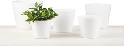 Produktbild von Scheurich 808/31 Uebertoepfe Panna; 31 cm x 31 cm x 29,8 cm, 32507