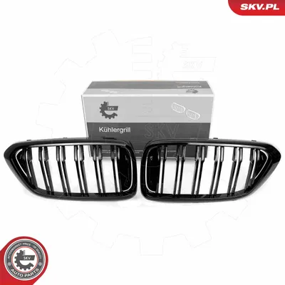 Obrázek produktu pro grill BMW komplet L+P, podwójna listwa, czarny połysk, BMW 6 G32