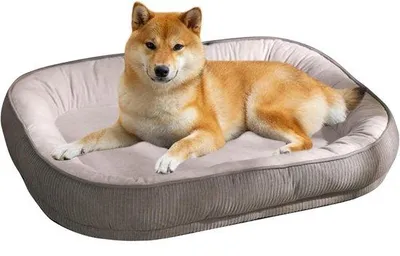Produktbild von Famanu Hundebett für kleine Hunde und große Katzen – Waschbares Liegebett mit rutschfester Unterseite