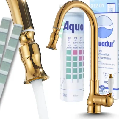 Immagine prodotto di Rubinetto da cucina Ari Bloom con doccetta estraibile, beccuccio girevole 360, aeratore, cartuccia Vetroceramica, colore oro lucido
