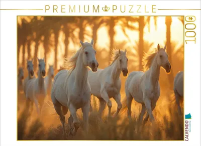 Produktbild von CALVENDO Puzzle Weiße Pferdeherde | 1000 Teile Lege-Größe 64x48cm Foto-Puzzle für glückliche Stunden