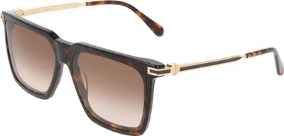 Produktbild von Ferragamo SF2077SLBI Dark tortoise 59/14/145 Herren Sonnenbrillen