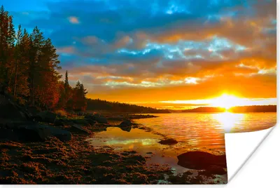 Produktbild von MuchoWow® Poster Sonne - Landschaft - Wasser - Bäume 120x80 cm - Bilder