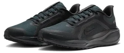 Produktbild von Nike Pegasus 41 GORE-TEX Laufschuhe Herren