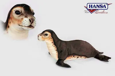 Produktbild von Hansa Toy 6791 Mönchsrobbe 62 cm Kuscheltier Stofftier Plüschtier