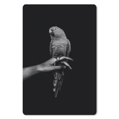 Produktbild von MuchoWow® Mauspad Mousepad Papagei auf einer Hand vor einem schwarzen Hintergrund - schwarz und weiß 40x60 cm - Mousepads - Maus Mat - Pad - Mausunterlage - Schreibtisch Accesoire