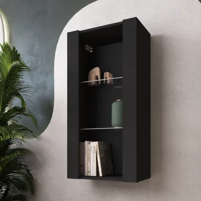 A black wall-mounted cabinet with shelves displaying decorative items and books, next to a large potted plant.