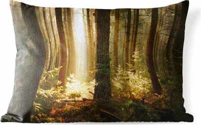 Produktbild von MuchoWow® Outdoor Kissen - Wald - Bäume - Sonne - 50x30 cm - Wetterfest - Lounge Kissen - Sofa kissen - Wohnzimmer Dekoration