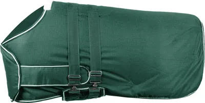Produktbild von Waldhausen Outdoordecke Fohlen 100g Fohlendecke Tannengrün
