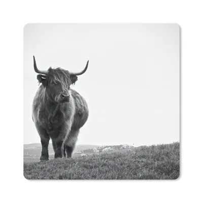 Produktbild von MuchoWow® Mauspad Mousepad Tiere - Schottische Hochlandbewohner - Schwarz und weiß - Natur - Ländlich 20x20 cm - Mousepads - Maus Mat - Pad - Mausunterlage - Desk Mat - Bureauartikeln
