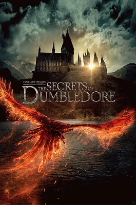Produktbild von FANTASTIC BEASTS - Poster Maxi 91cmx51cm - Movie Poster
