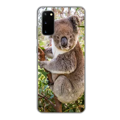 Produktbild von MuchoWow® Handyhülle Schutzhülle Hülle für Samsung Galaxy S20 Koala - Blätter - Kinder - Jungen - Mädchen Silikon Softcase Handy Hülle - Bild