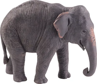 Obrázok produktu pre Mojo Fun Asian Elephant, 3 rok / roky, Wildlife, Šedá, Biela, Polyvinylchlorid (PVC)