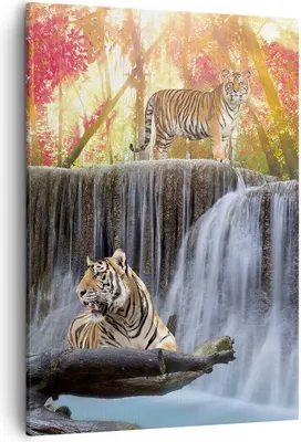 Produktbild von Bild auf Leinwand - Leinwandbild - Einteilig - Tiger natur tier paradies - 50x70cm - Wand Bild - Wanddeko - Wandbilder - Leinwanddruck - Wanddekoration - Leinwand bilder - Wandbild - PA50x70-2396