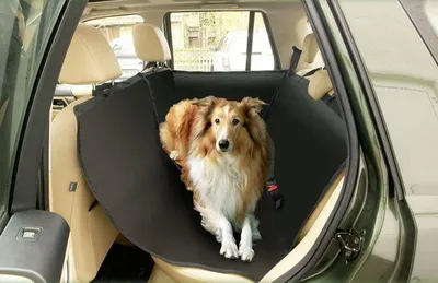 Produktbild von Karlie Schondecke Car Guard Cabin - Autodecken - Polyester - Schwarz - 165x148 cm