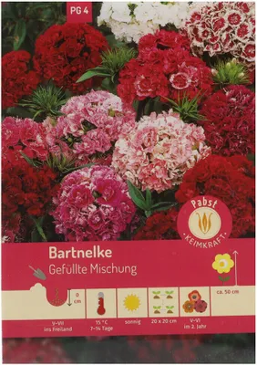 Produktbild von Grünkohl Halbhoher grüner krauser | Grünkohlsamen von Grüne Fee