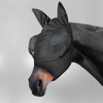 Produktbild von Waldhausen Fliegenmaske PUCK Fly Mask Schwarz WB